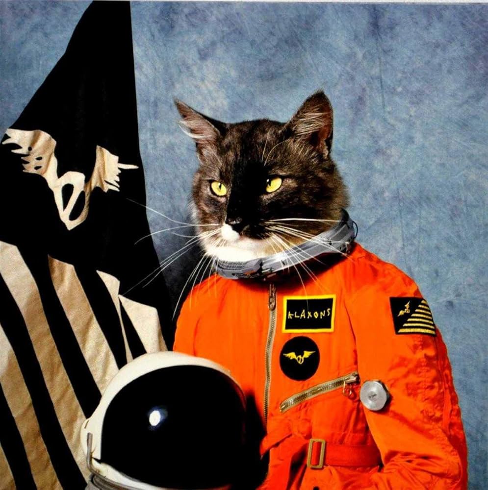 Amazon.co.jp: Surfing the Void: ミュージック